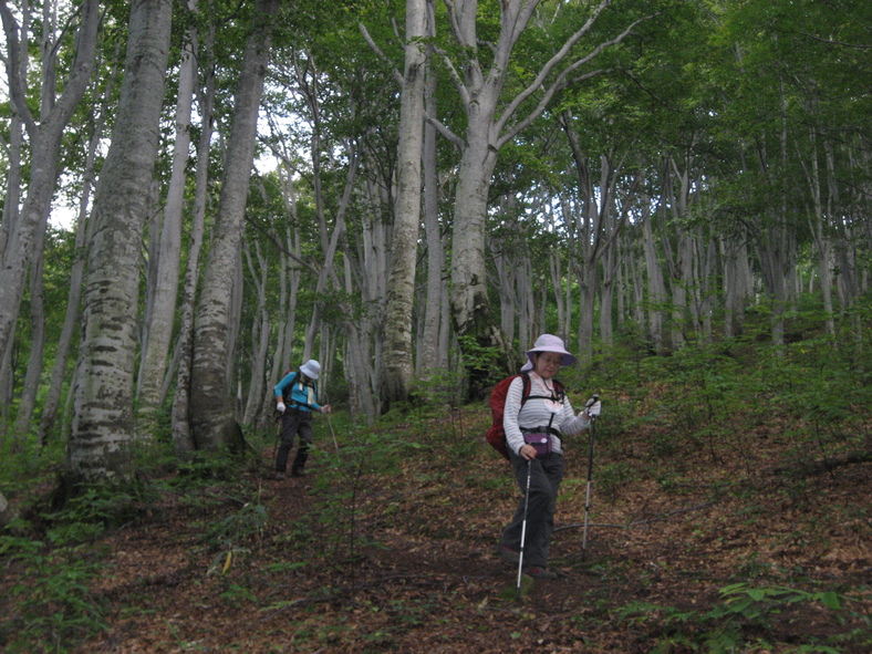 Pension Pure Set in a prime location of Nagano, Pension Pure puts everything the city has to offer just outside your doorstep. Featuring a satisfying list of amenities, guests will find their stay at the property 