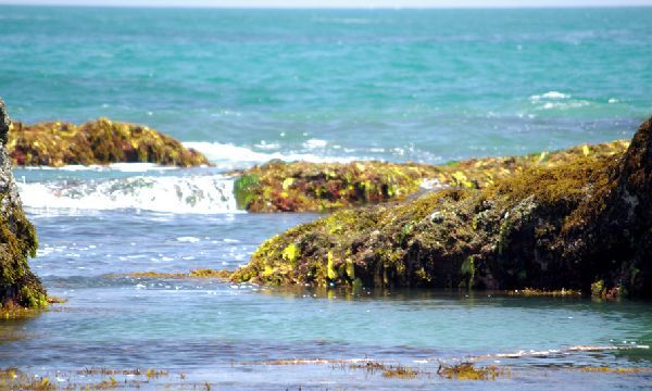 岩場の瀬戸海岸