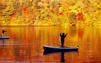 秋の釣り