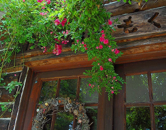 赤いバラの玄関