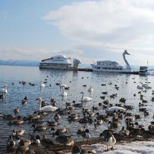 猪苗代湖の遊覧船かめ丸、白鳥丸