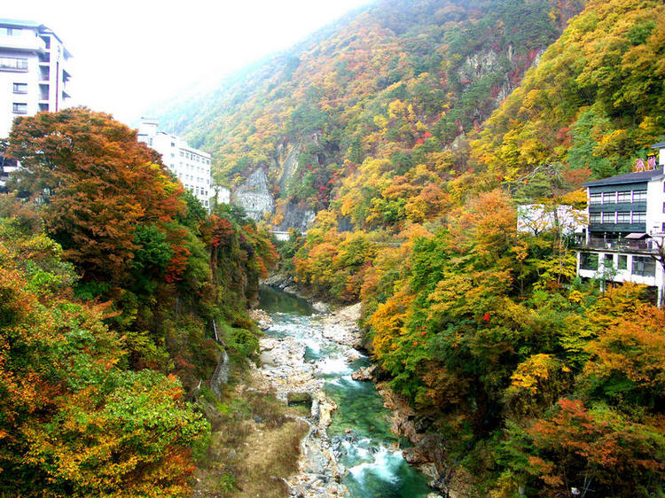 老神温泉の紅葉（旅館）