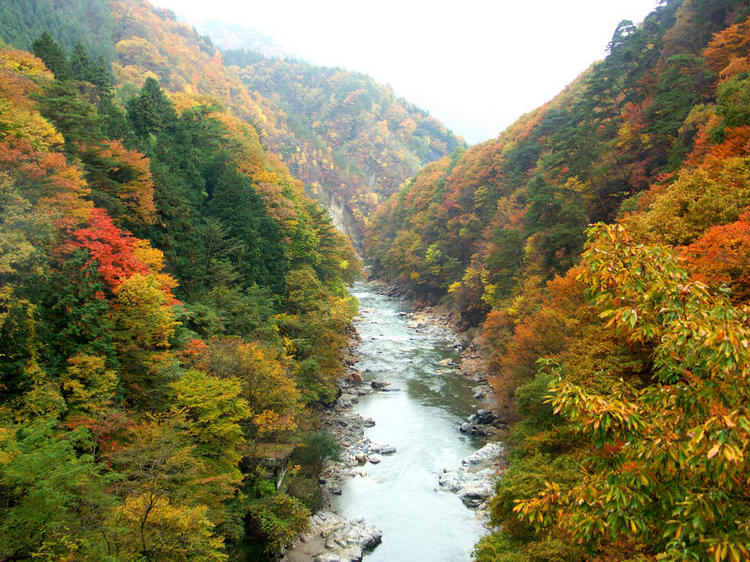 老神温泉の紅葉