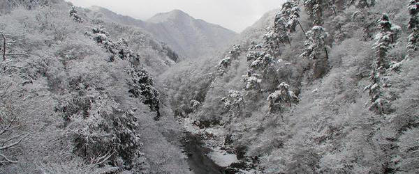 雪景色