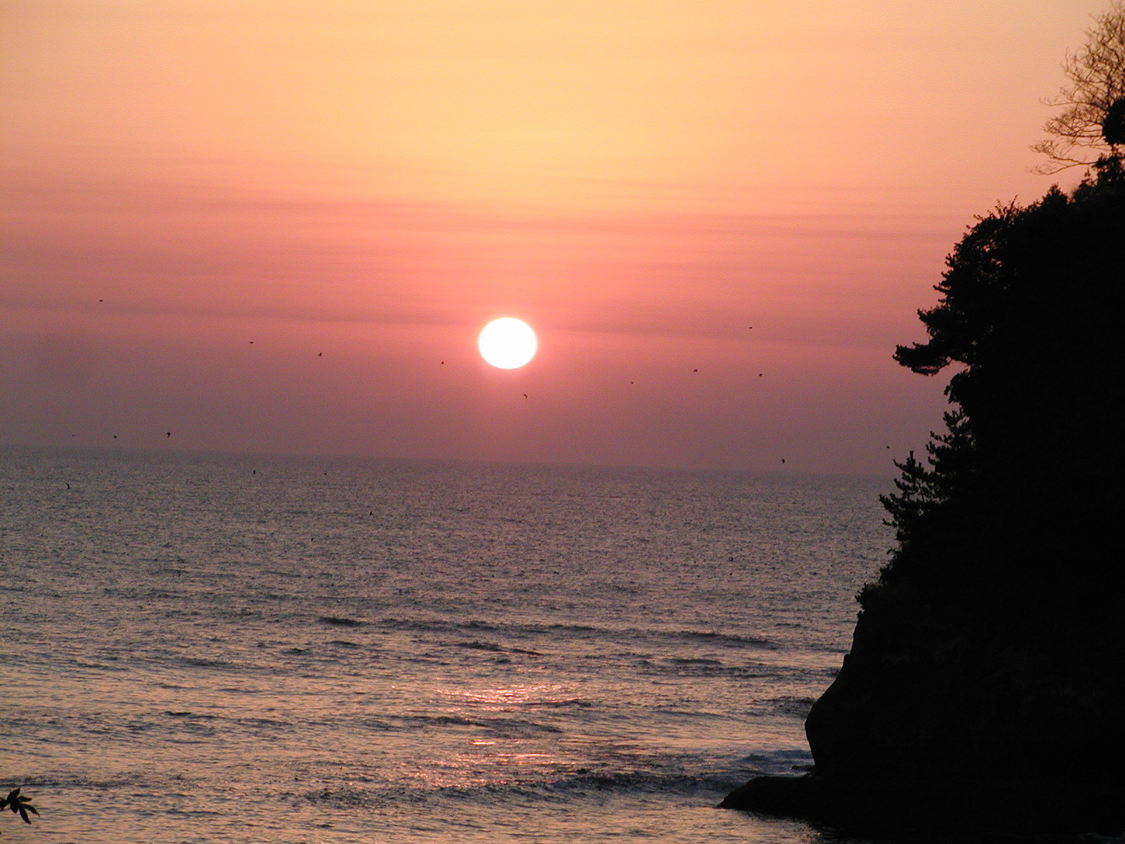 五浦海岸の日の出
