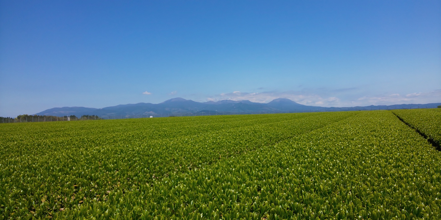 霧島連山、その向こうには太平洋ぜよ。