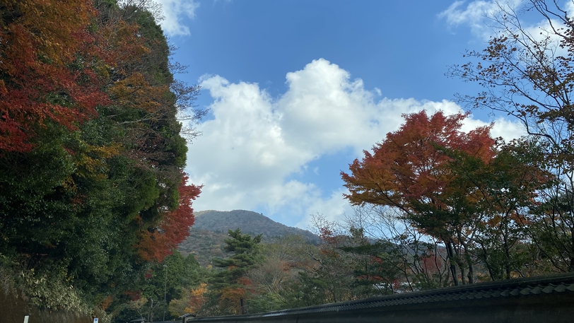 *【周辺情報】雲仙ビードロ美術館道中。秋は紅葉と青空のコントラストが美しいですよ。