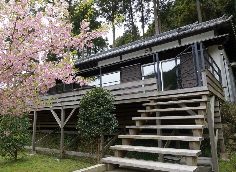 別邸COCOROから見える河津桜