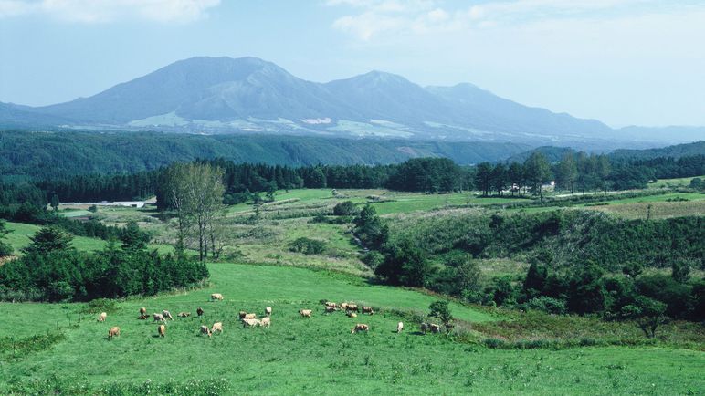 蒜山高原(国立公園)