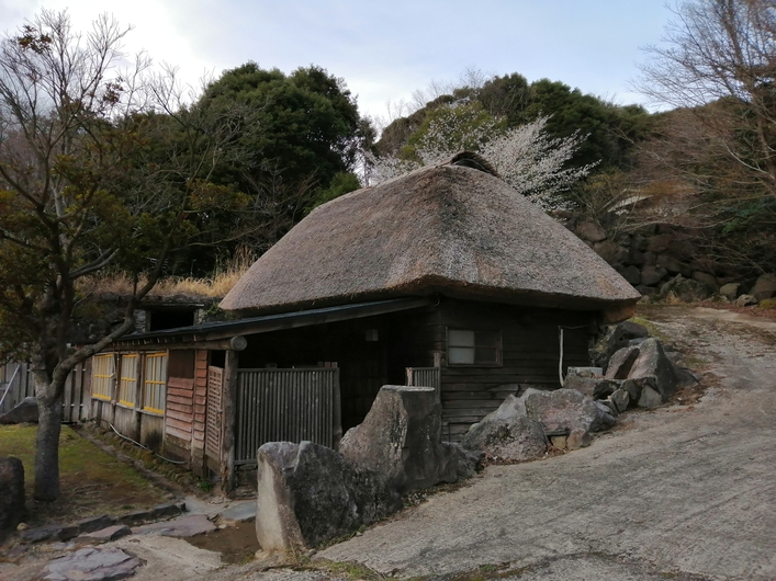 茅葺ハウス外観