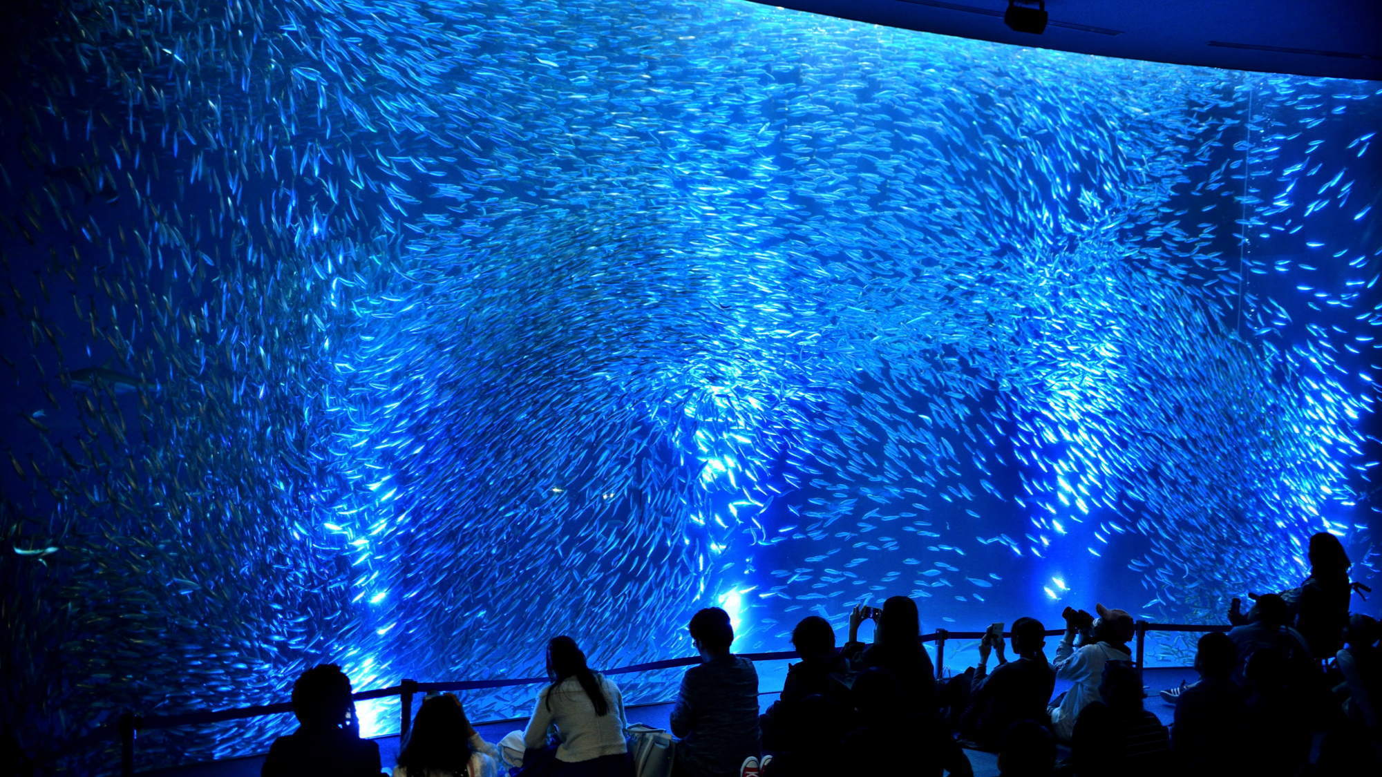 名古屋港水族館