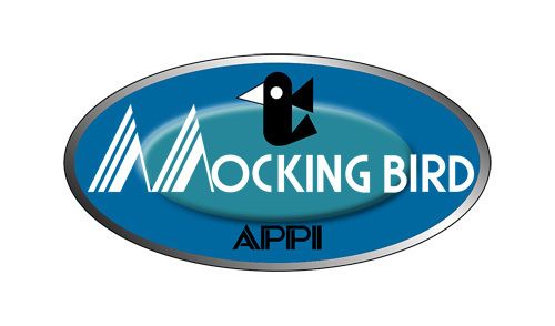 Mocking Bird