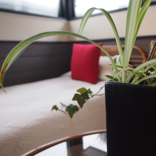 Pension Mocking Bird Image 3, Hachimantai, Japan