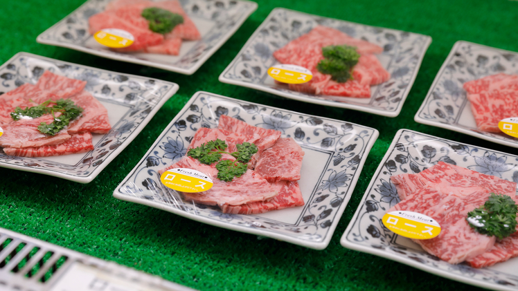 Ureshino Onsen Taishouya Yushuku Seiryuu Image 3, Ureshino, Japan