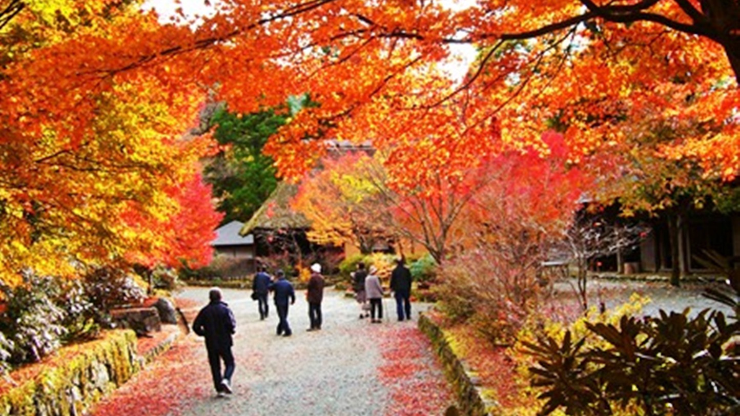 *周辺：五家荘_平家の里里紅葉