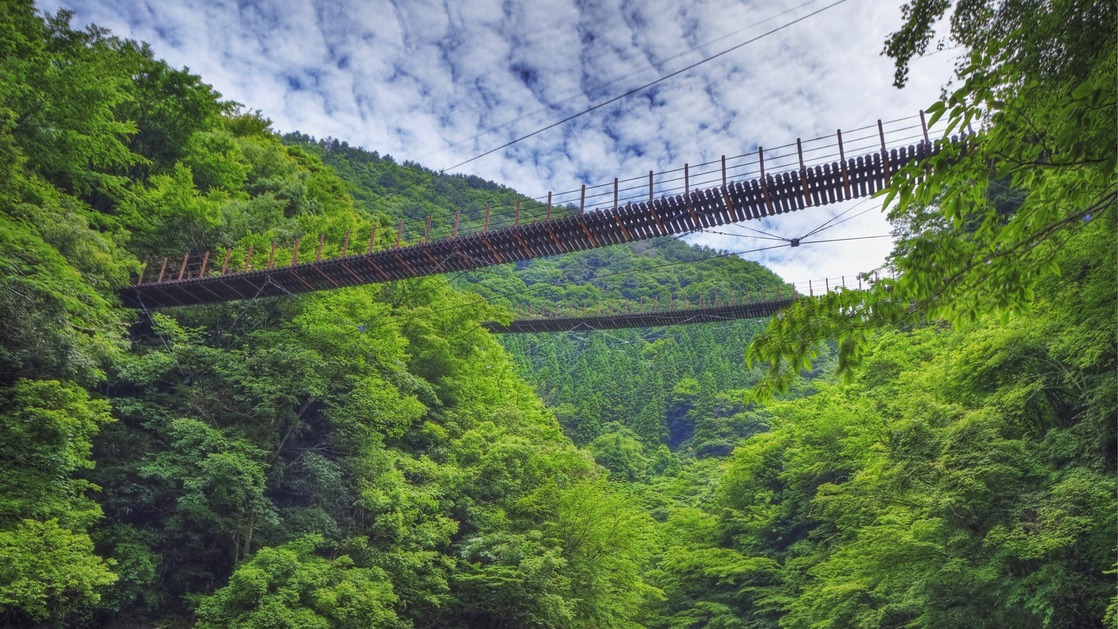 *周辺：五家荘_樅木の吊橋