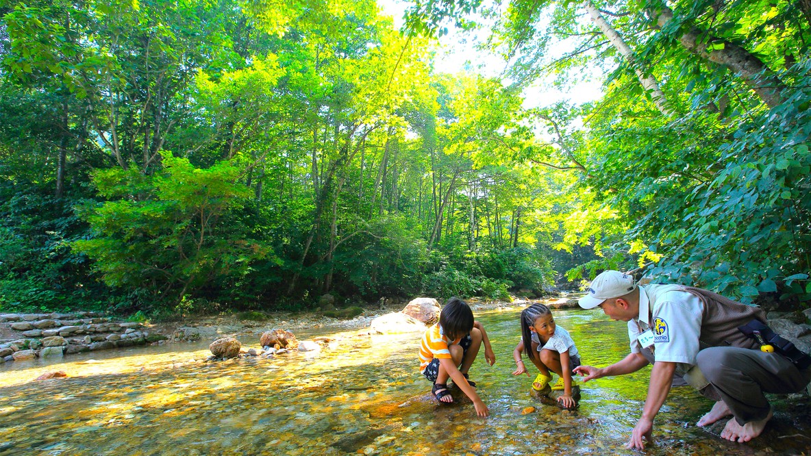 夏の川は、きらめく宝箱。色んな虫たちが、君との出会いを待っている。①