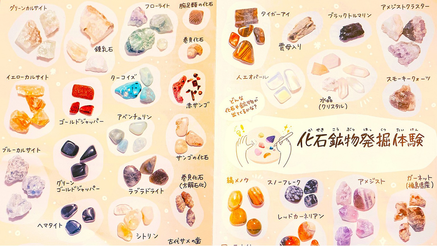 【16:30】化石も鉱物も、自分の手で見つけるから面白い。③