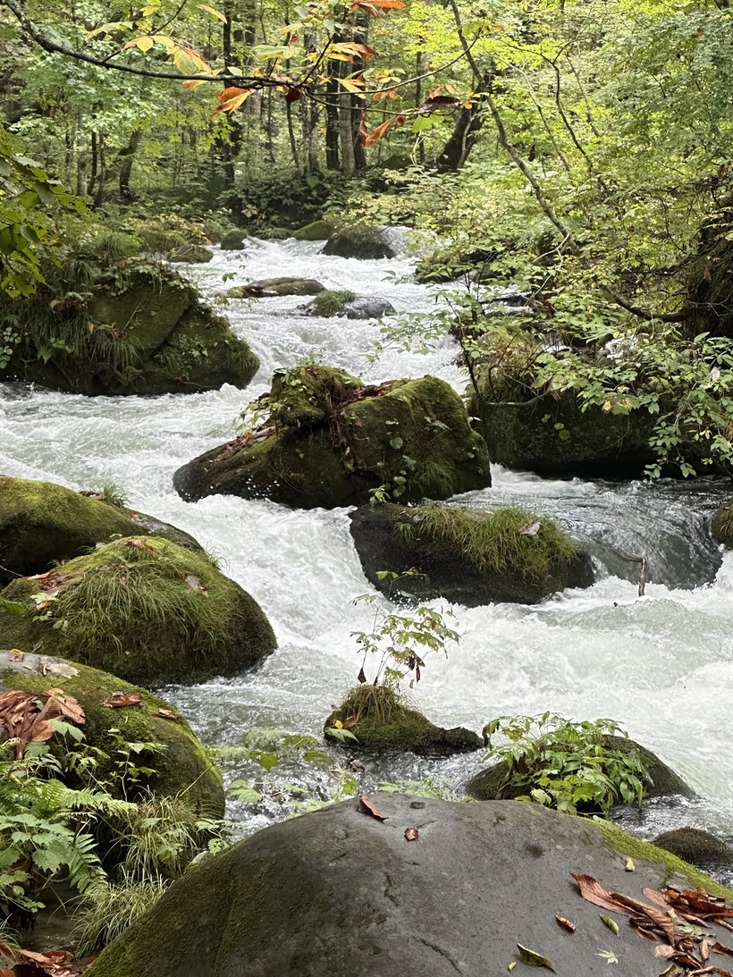 奥入瀬渓流