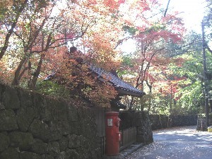 東観荘周辺の紅葉