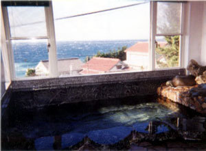 Minshuku Megumiso Image 4, Izu, Japan