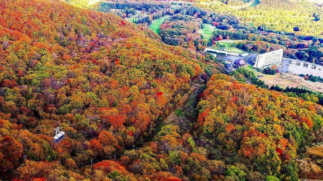 紅葉空中散歩（紅葉は10月中旬から11月初旬まで楽しめます）