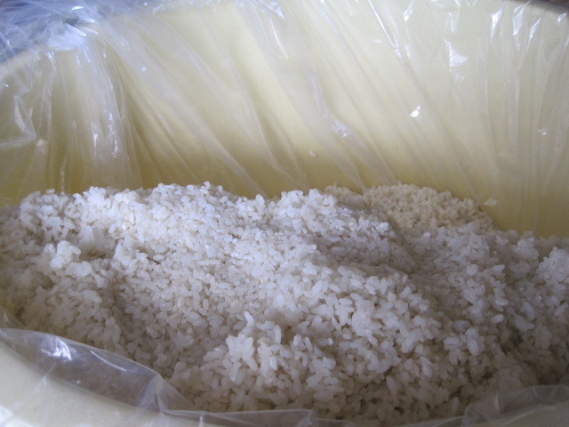 味噌作り自家米で米麹作り