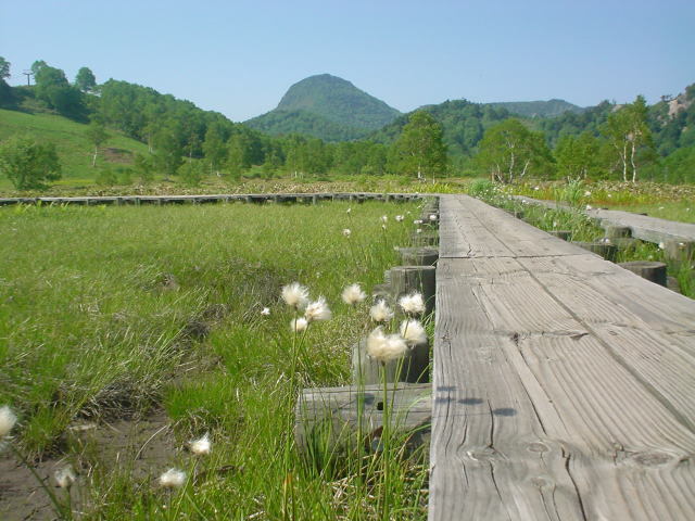 田の原湿原