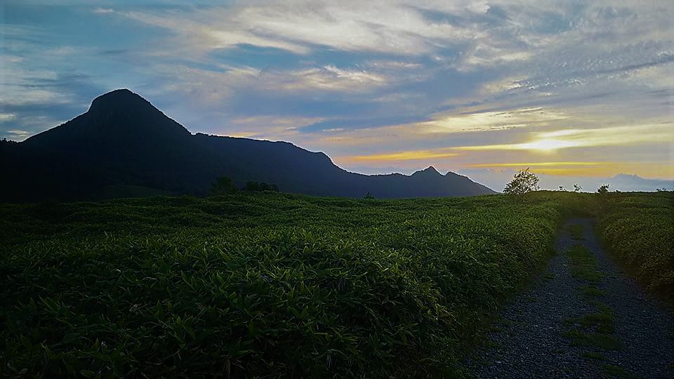 前山湿原