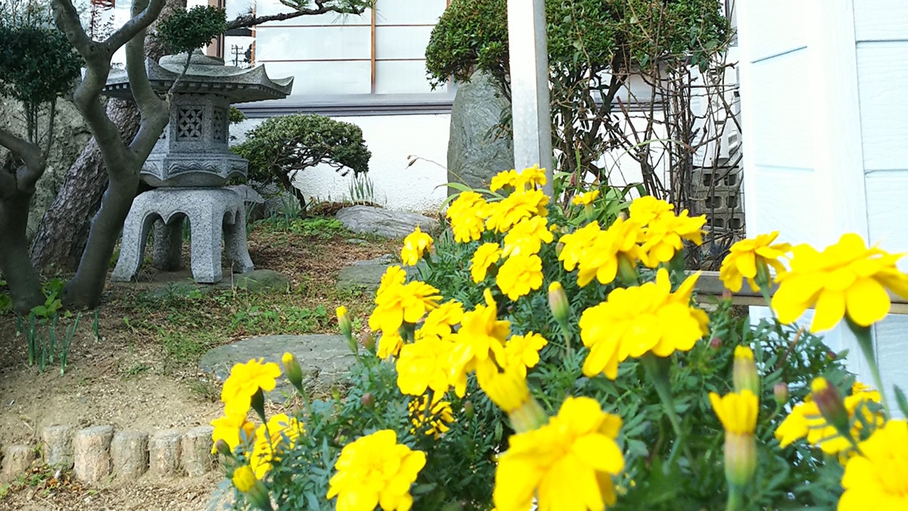 *【館内】お庭には四季折々のお花が咲いております