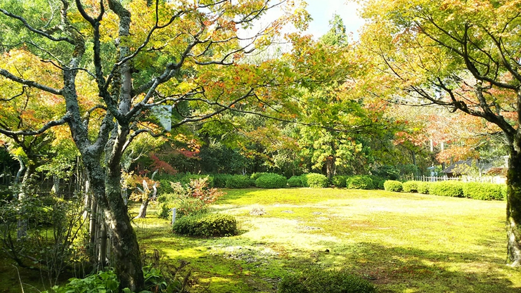 *【施設周辺】秋の越前陶芸村