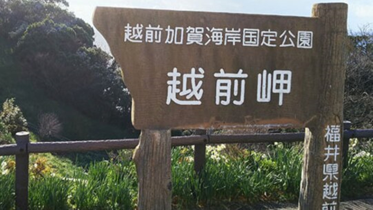 *【施設周辺】越前岬の先端部海食崖には奇岩が多く見られます。