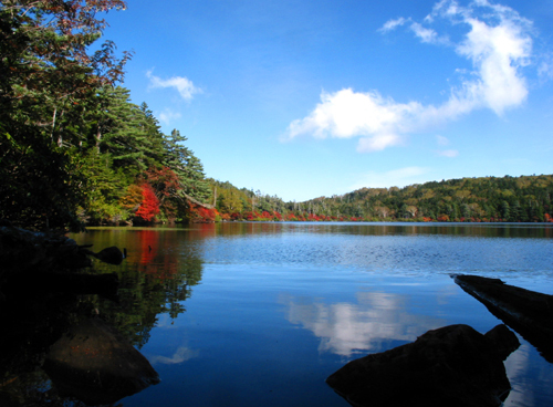 赤く染まり始めた白駒の池