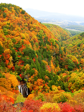 横谷観音紅葉大パノラマ！