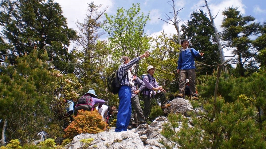 *新緑の登山