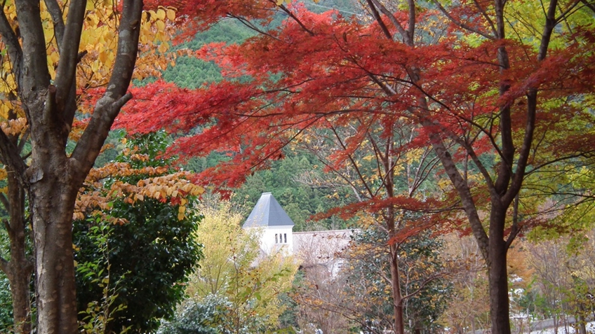 *当館周辺の紅葉