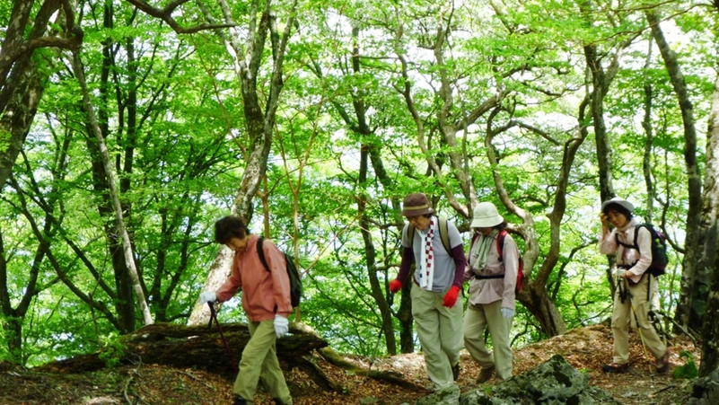 *新緑の登山