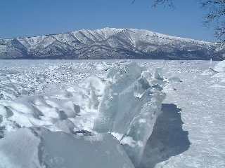 This photo about Minshuku Mashumaro shared on HyHotel.com