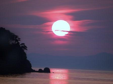 対岸の天草に落ちる夕日は、必見の価値があり!