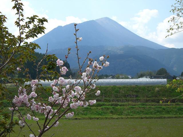 高千穂の峰