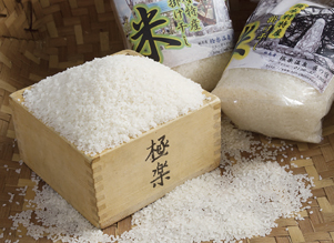 須木の掛け干し米