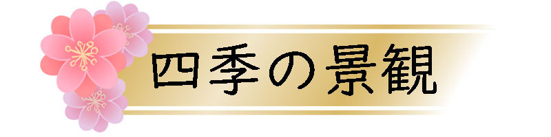 shiki banner