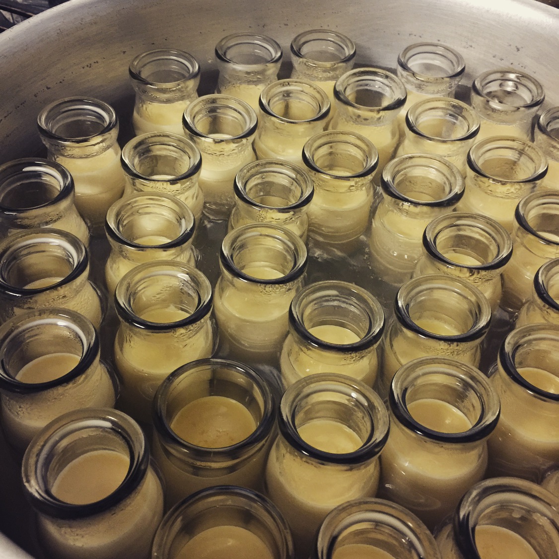 手造り卵プリン