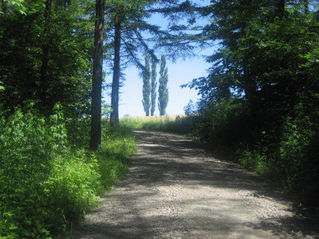 美瑛・赤羽の丘