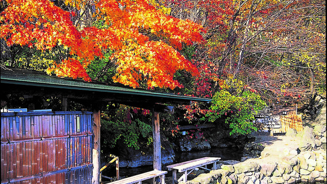 紅葉※イメージ