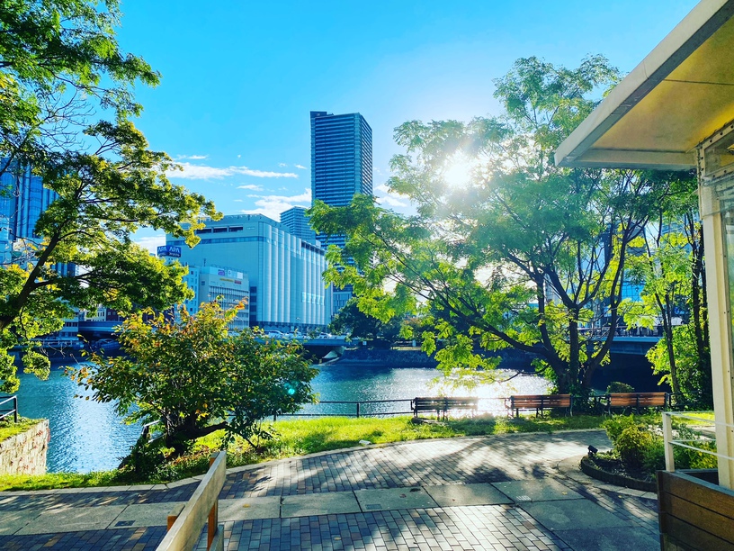 2025年ホテルに隣接する公園①