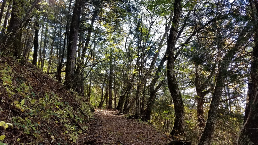 西野峠