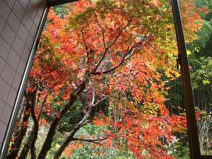 お風呂から眺める！紅葉です。