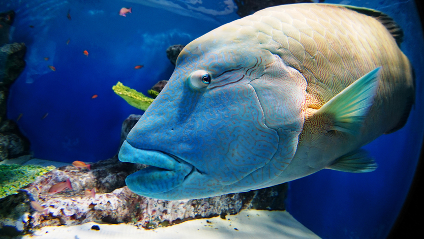 おたる水族館