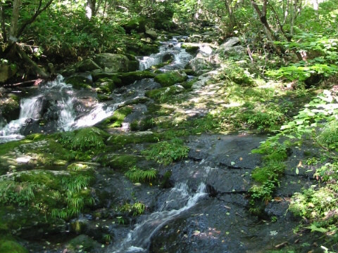 石樋の滝